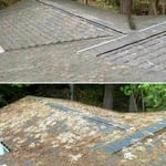 Roof cleaning