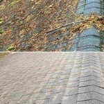 Roof cleaning