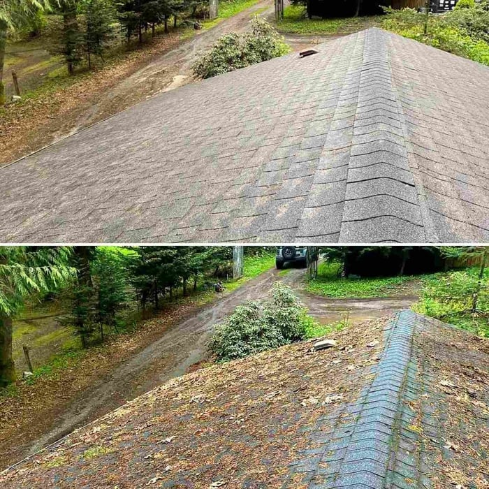 Friendly roof cleaning