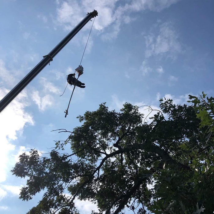 Additional Photos