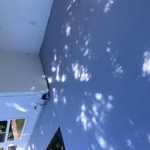 Landscaping Project