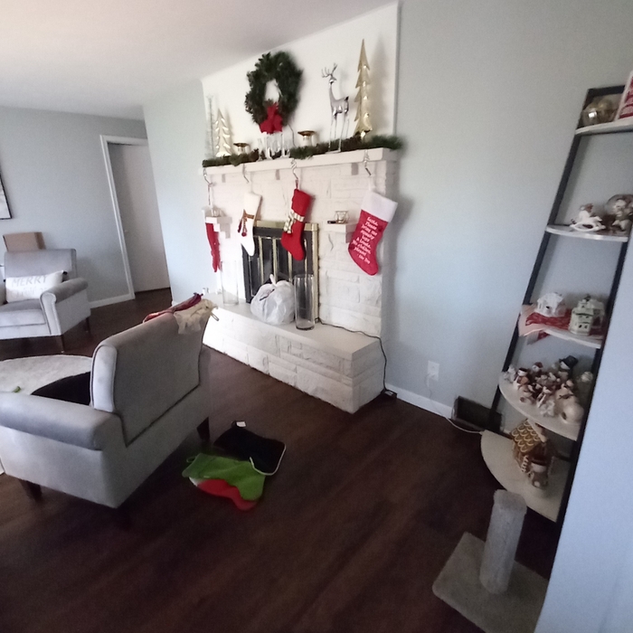 Living Room / Hallway