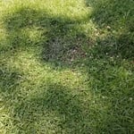 Land settled and sunken