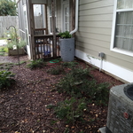 French Drain