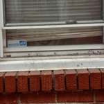 Before window cleaning