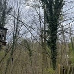 Tree Service Project