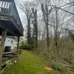 Tree Service Project