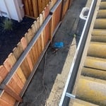 Gutter cleaning