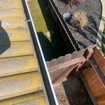 Gutter cleaning