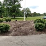 Landscaping Project