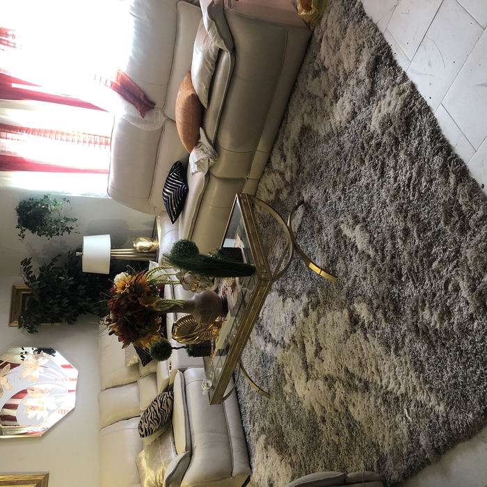 Housecleaning Project