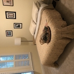 Housecleaning Project