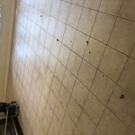 Housecleaning Project