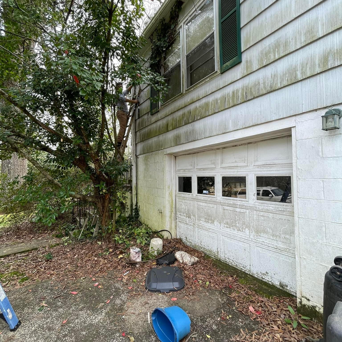 Additional Photos