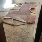 Befor the glue down planks