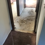 Befor the glue down planks