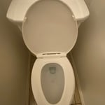Toilet Bowl Cleaning
