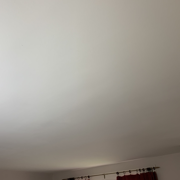Painting - Interior Project