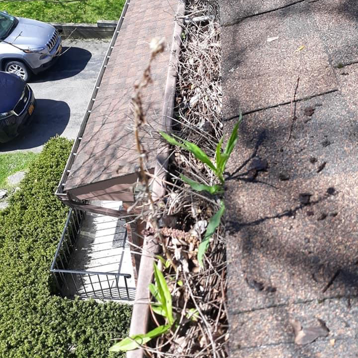 Additional Photos