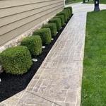 Mulch Job