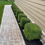 Mulch Job