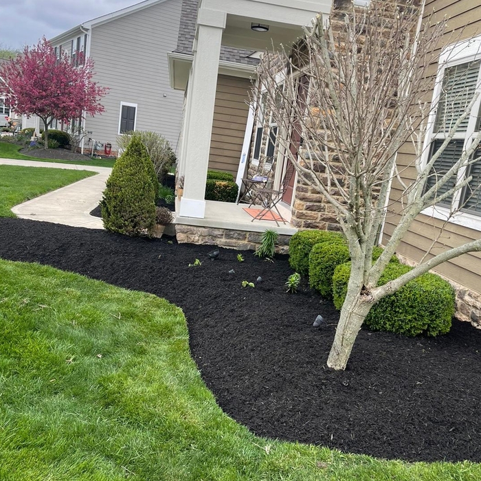 Mulch Job