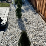 Replacing all rock with new one