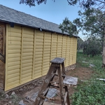 Cabin before restoration work began.