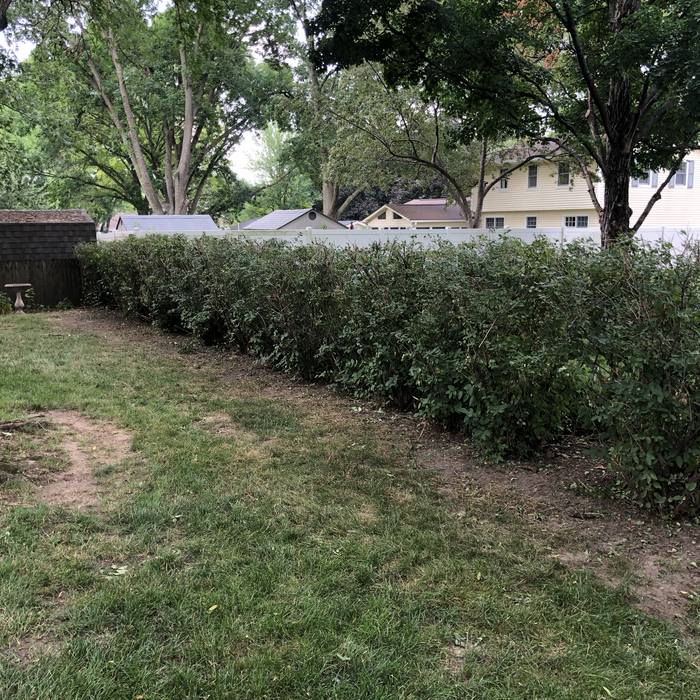 Additional Photos