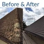 Roof cleaning