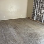 The living room