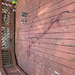 Interior Painting Project