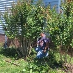 Lawn and Yard Work Project