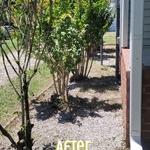 Lawn and Yard Work Project