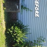 Lawn and Yard Work Project