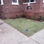New perennials and sod.