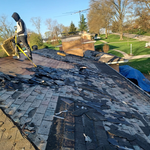 Additional Photos