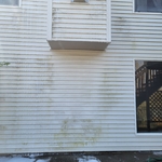 Pressure Washing Project