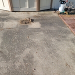 Pressure Washing Project