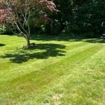 Grass cuts