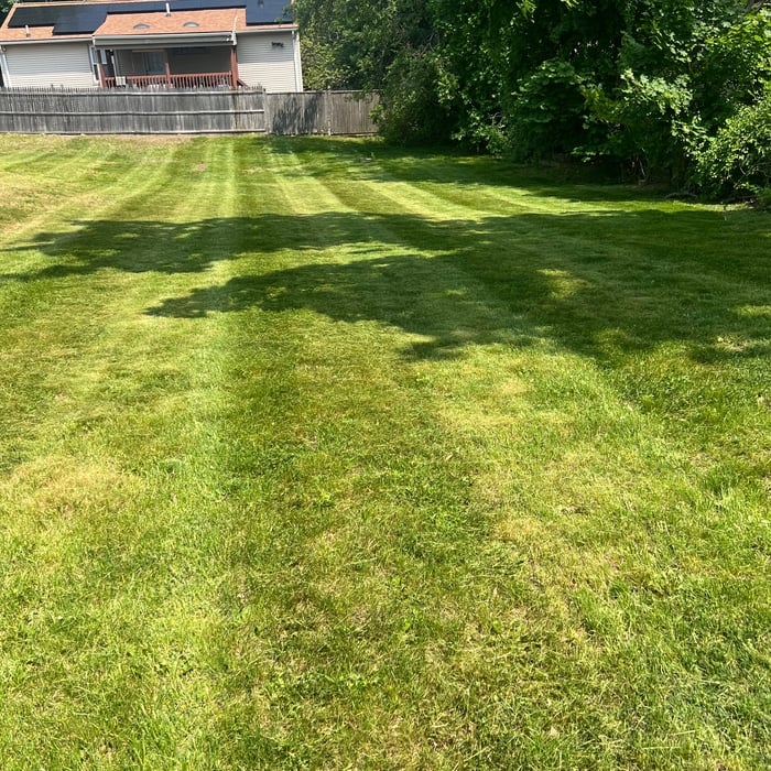 Grass cuts