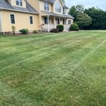Grass cuts