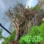 Storm damage