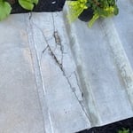 This is what we started with a cracked old step in need of replacement.
