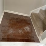 Move in cleaning