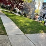 Lawn & Yard Work Project