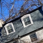Tree on top of the house