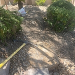 Dripline installation