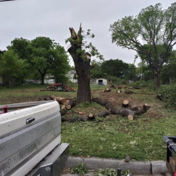 Additional Photos