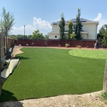 New back yard